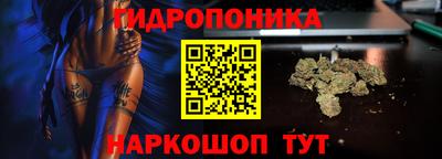 Альфа ПВП Будённовск