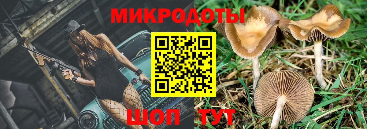 Псилоцибиновые грибы Magic Shrooms  Псилоцибиновые грибы ЛСД  Вход с VPN  Нурлат 