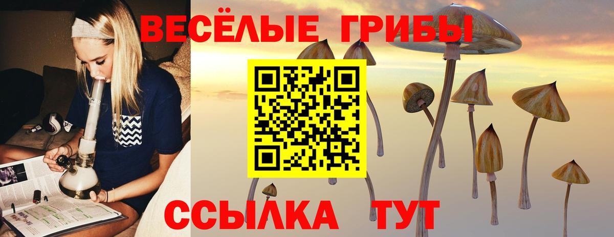 Псилоцибиновые грибы MAGIC MUSHROOMS Нурлат